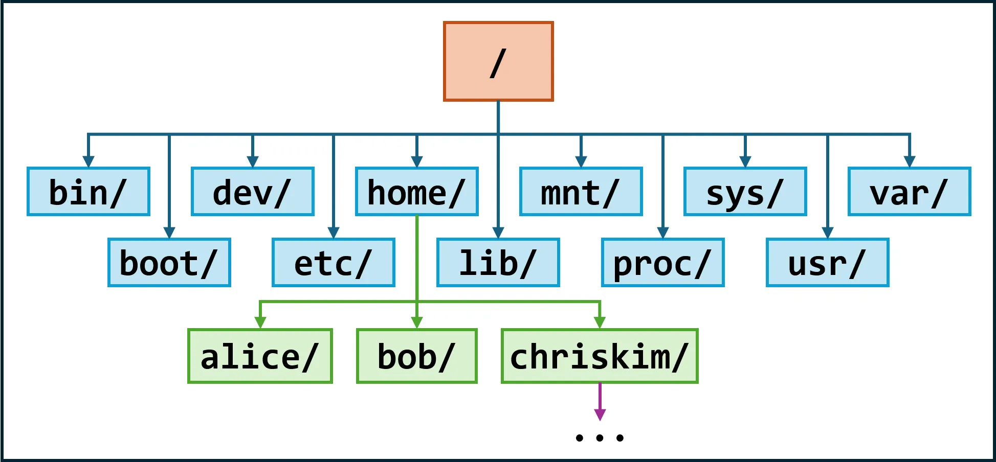 只学够用的Linux-零基础最小入门教程-7