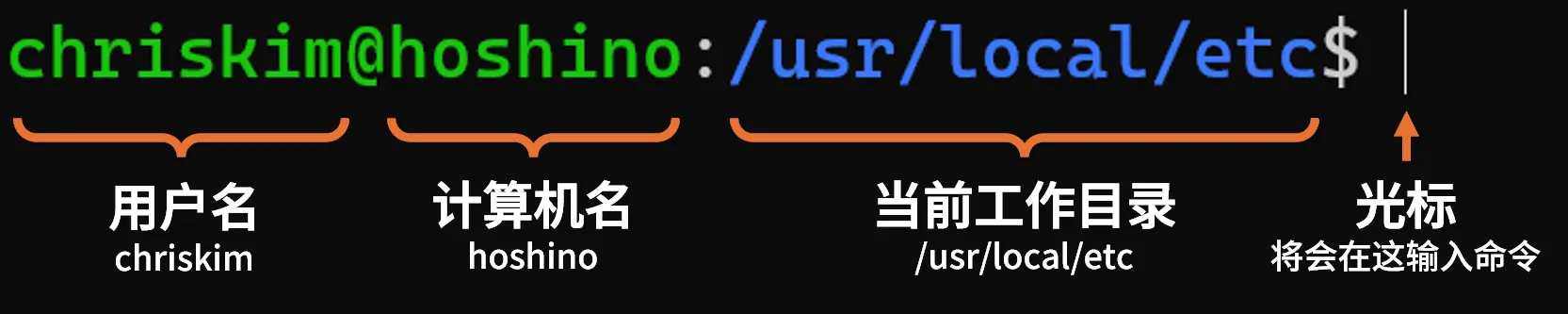 只学够用的Linux-零基础最小入门教程